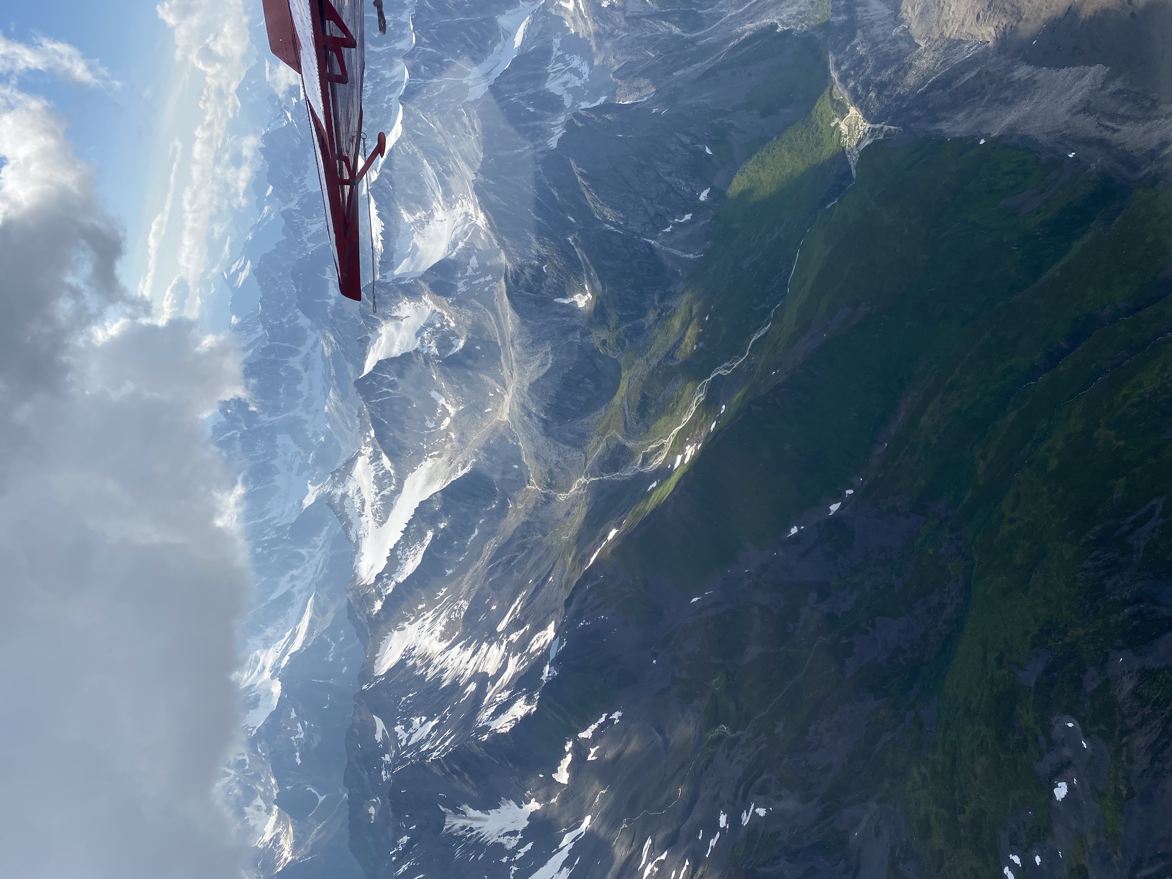 Denali National Park